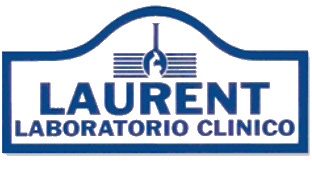 Logo LaurentTransp
